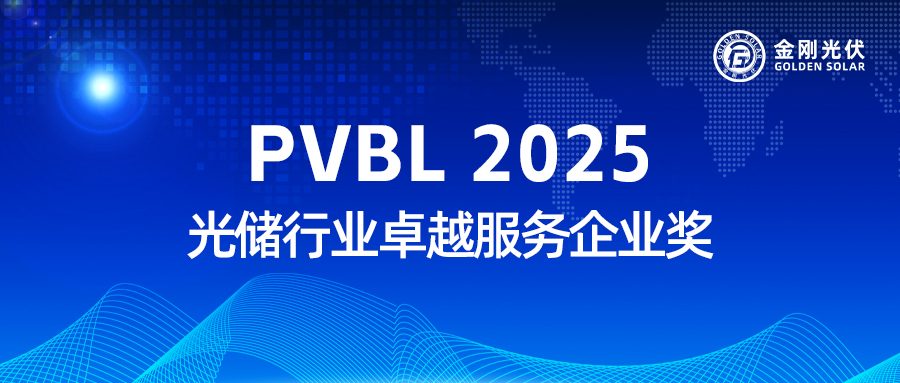 333ʵջ PVBL2025 ⴢҵ׿Խҵ